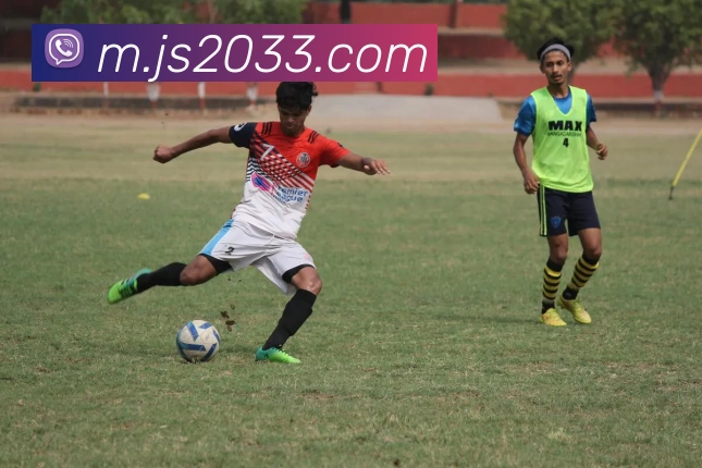 澳门金沙线上官网平台生态图